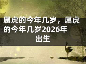 属虎的今年几岁，属虎的今年几岁2026年出生