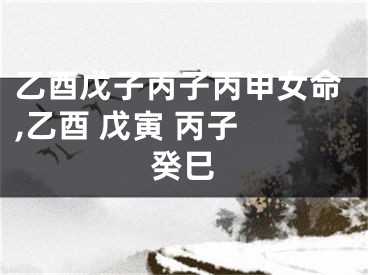 乙酉戊子丙子丙申女命,乙酉 戊寅 丙子 癸巳