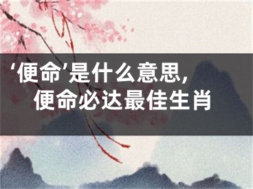 ‘便命’是什么意思,便命必达最佳生肖