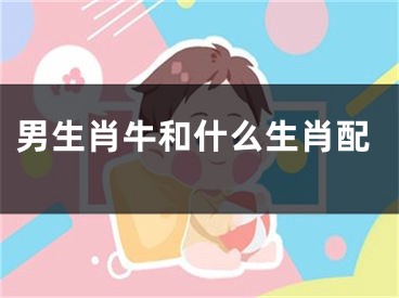男生肖牛和什么生肖配