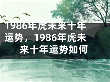 1986年虎未来十年运势，1986年虎未来十年运势如何
