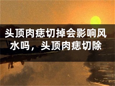 头顶肉痣切掉会影响风水吗，头顶肉痣切除