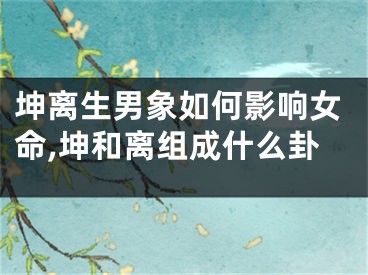 坤离生男象如何影响女命,坤和离组成什么卦
