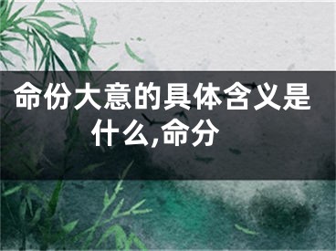 命份大意的具体含义是什么,命分