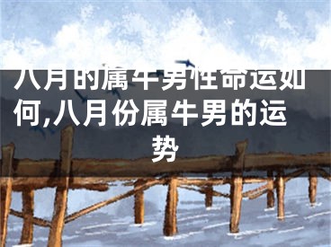 八月的属牛男性命运如何,八月份属牛男的运势