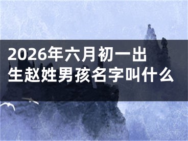 2026年六月初一出生赵姓男孩名字叫什么