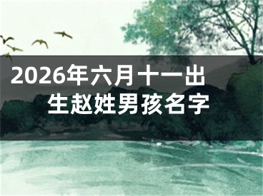 2026年六月十一出生赵姓男孩名字