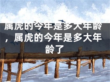 属虎的今年是多大年龄，属虎的今年是多大年龄了