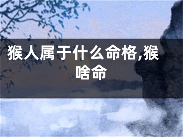 猴人属于什么命格,猴啥命