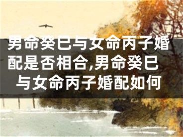 男命癸巳与女命丙子婚配是否相合,男命癸巳与女命丙子婚配如何