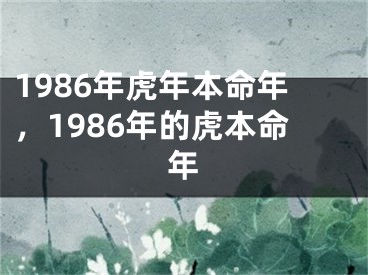 1986年虎年本命年，1986年的虎本命年