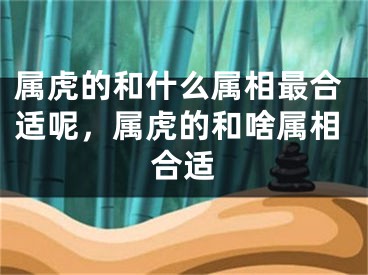 属虎的和什么属相最合适呢，属虎的和啥属相合适