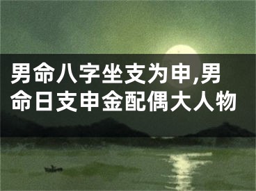 男命八字坐支为申,男命日支申金配偶大人物