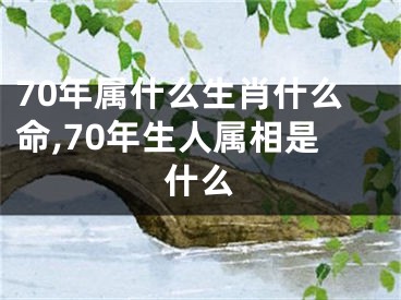 70年属什么生肖什么命,70年生人属相是什么