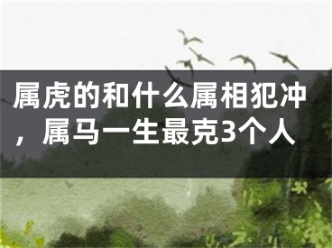 属虎的和什么属相犯冲，属马一生最克3个人
