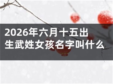 2026年六月十五出生武姓女孩名字叫什么