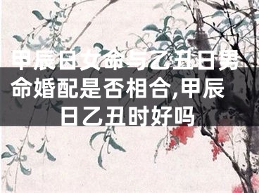 甲辰日女命与乙丑日男命婚配是否相合,甲辰日乙丑时好吗