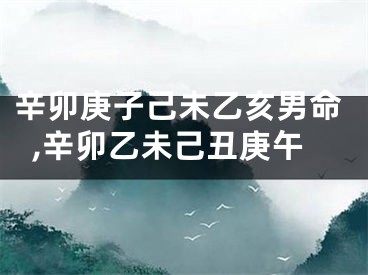 辛卯庚子己未乙亥男命,辛卯乙未己丑庚午