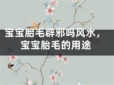 宝宝胎毛辟邪吗风水，宝宝胎毛的用途