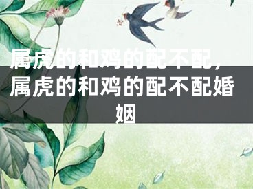 属虎的和鸡的配不配，属虎的和鸡的配不配婚姻