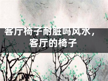 客厅椅子耐脏吗风水，客厅的椅子