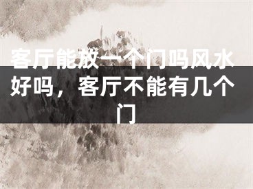 客厅能放一个门吗风水好吗，客厅不能有几个门