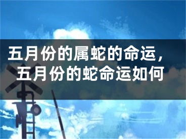 五月份的属蛇的命运，五月份的蛇命运如何