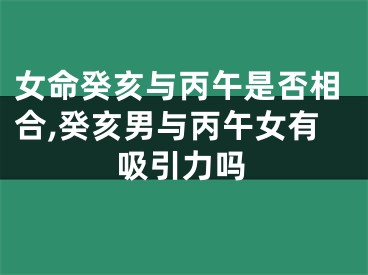 女命癸亥与丙午是否相合,癸亥男与丙午女有吸引力吗