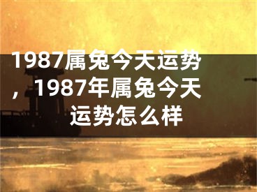 1987属兔今天运势，1987年属兔今天运势怎么样