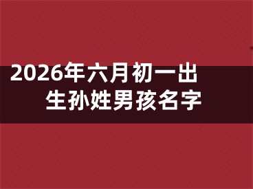 2026年六月初一出生孙姓男孩名字