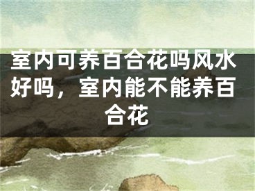 室内可养百合花吗风水好吗，室内能不能养百合花