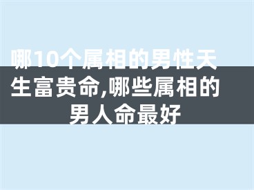 哪10个属相的男性天生富贵命,哪些属相的男人命最好