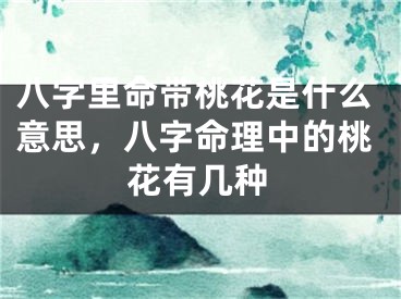 八字里命带桃花是什么意思，八字命理中的桃花有几种
