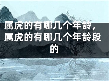 属虎的有哪几个年龄，属虎的有哪几个年龄段的