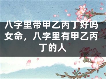 八字里带甲乙丙丁好吗女命，八字里有甲乙丙丁的人