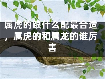 属虎的跟什么配最合适，属虎的和属龙的谁厉害