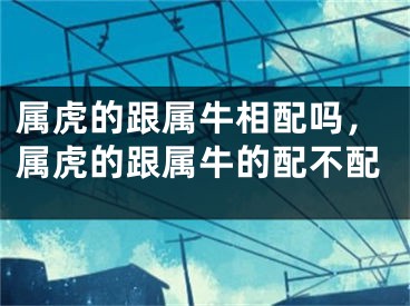 属虎的跟属牛相配吗，属虎的跟属牛的配不配
