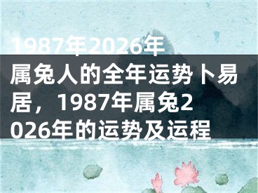 1987年2026年属兔人的全年运势卜易居，1987年属兔2026年的运势及运程