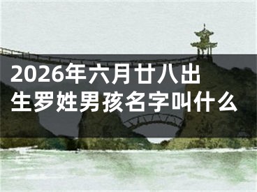 2026年六月廿八出生罗姓男孩名字叫什么