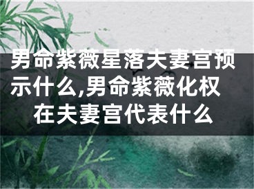 男命紫薇星落夫妻宫预示什么,男命紫薇化权在夫妻宫代表什么