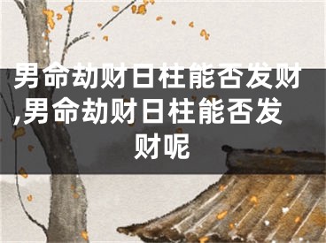 男命劫财日柱能否发财,男命劫财日柱能否发财呢