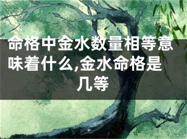 命格中金水数量相等意味着什么,金水命格是几等
