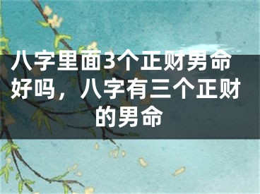 八字里面3个正财男命好吗，八字有三个正财的男命