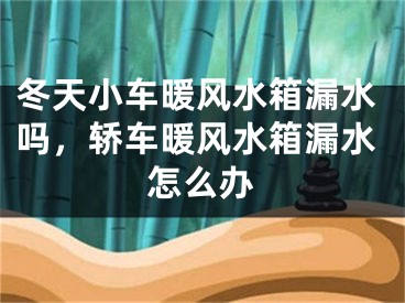 冬天小车暖风水箱漏水吗，轿车暖风水箱漏水怎么办