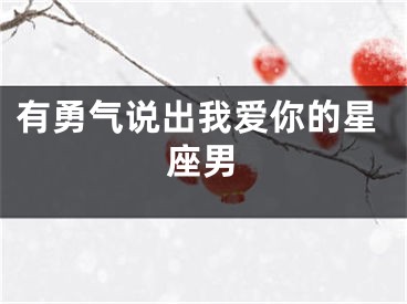 有勇气说出我爱你的星座男