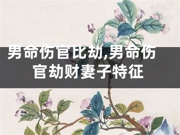 男命伤官比劫,男命伤官劫财妻子特征