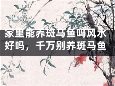 家里能养斑马鱼吗风水好吗，千万别养斑马鱼