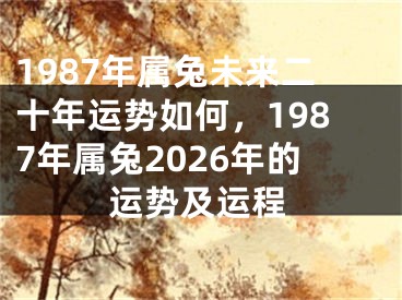 1987年属兔未来二十年运势如何，1987年属兔2026年的运势及运程