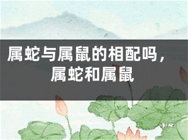 属蛇与属鼠的相配吗，属蛇和属鼠