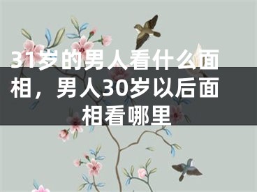 31岁的男人看什么面相，男人30岁以后面相看哪里